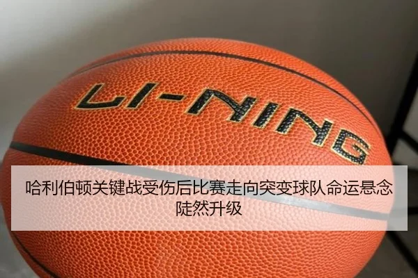 img_1781494943575_26_2_751.jpg